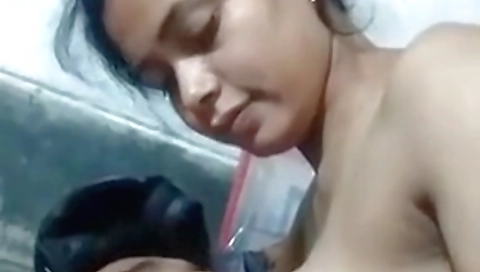 Indian Boob Sucking Video Of Desi Couple