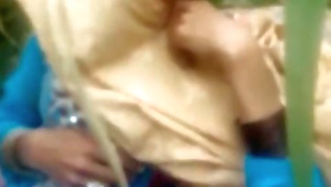 Outdoor Desi Exposure Video